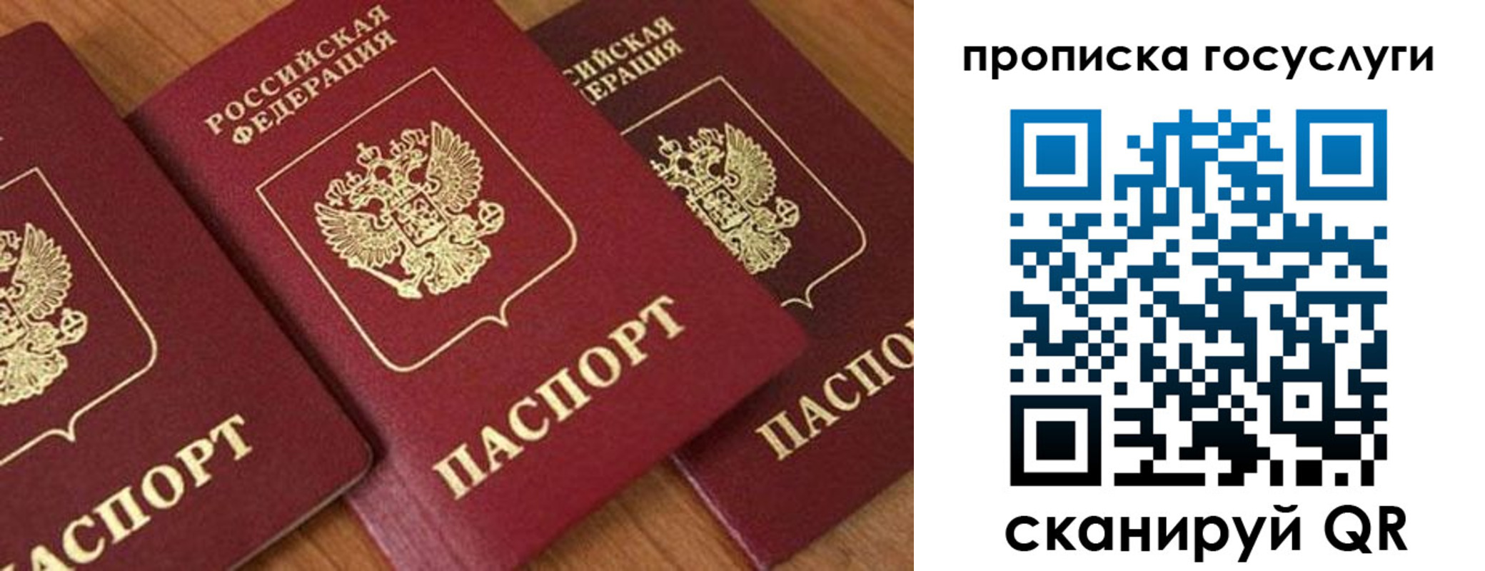 временная прописка в Звенигово